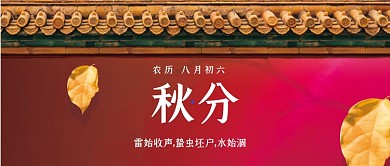 节气秋分树叶公众号首图