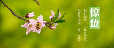 惊蛰万物萌芽生长绿色简约公众号首图