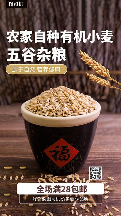 卡其色健康五谷杂粮