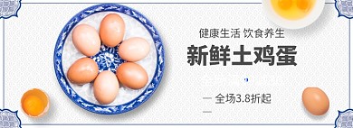 新鲜土鸡蛋促销banner