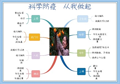 防疫思维导图手抄报