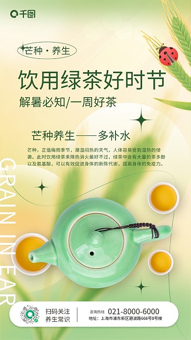 芒种养生常识渐变手机海报