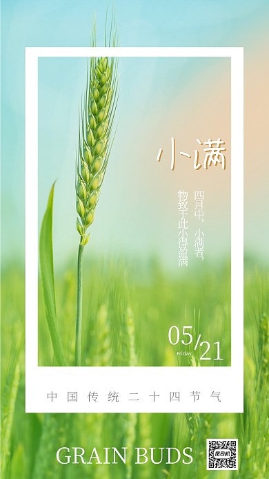 小满节气小清新小麦摄影竖版配图