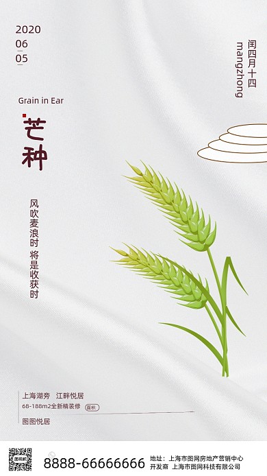 时尚简约芒种海报