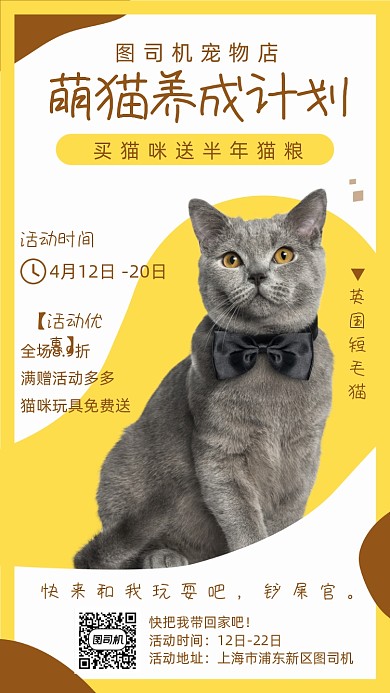 宠物店猫咪宣传海报