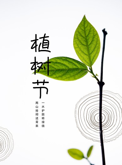 中国传统节日植树节创意海报