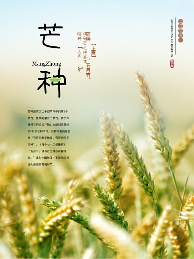 传统二十四节气芒种节气海报