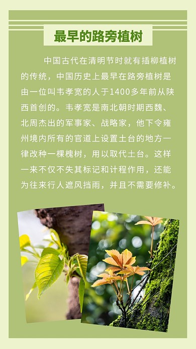 植树节浅绿色最早的路旁植树历史竖版配图