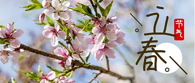 简约立春节气公众号首图