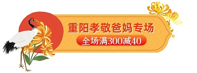 重阳节插画橙色电商天猫胶囊