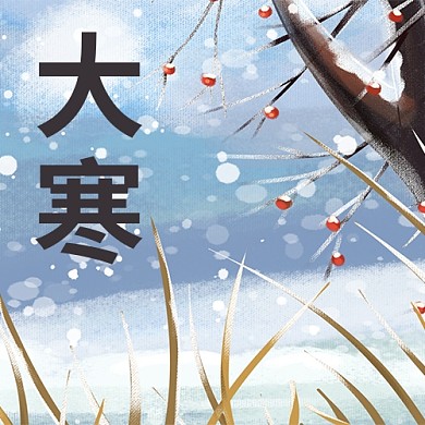 大寒雪彩色手绘公众号次图