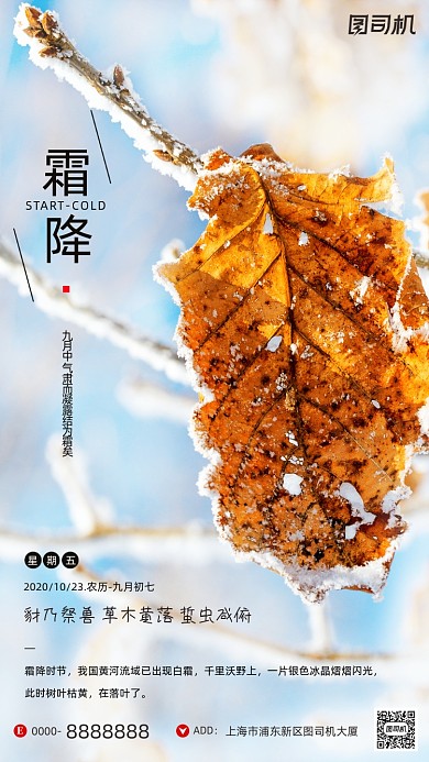 霜降节气摄影图文艺清新简约手机海报