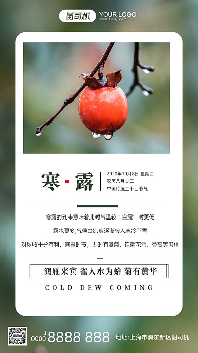 寒露节气文艺清新摄影图手机海报