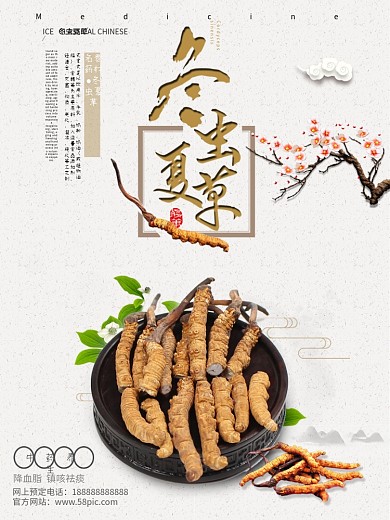 营养补品海报设计