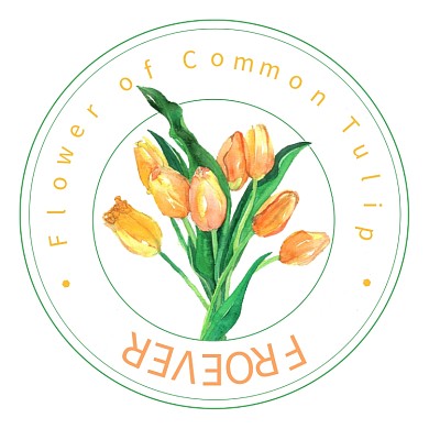 黄色的郁金香LOGO