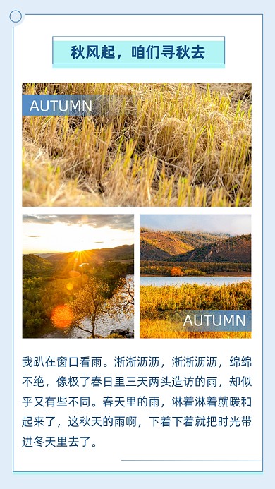 简约秋天落叶竖版配图