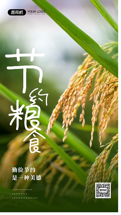 节约粮食简约摄影图公益宣传海报