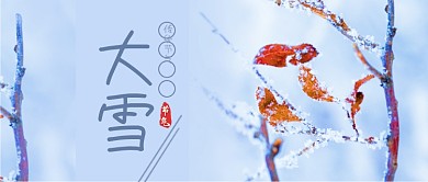 简约图文大雪节气新媒体首图