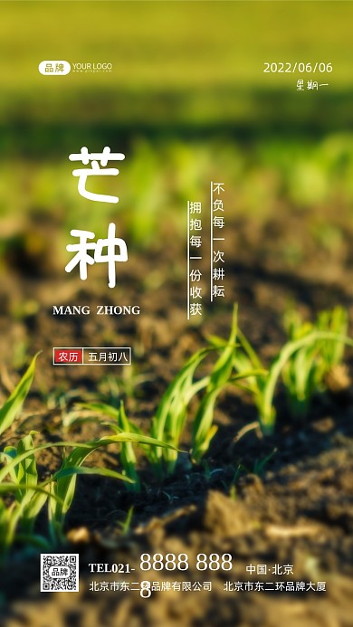 芒种节气二十四节气摄影图海报