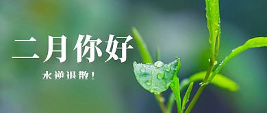 绿色简约摄影风小草二月你好公众号首图