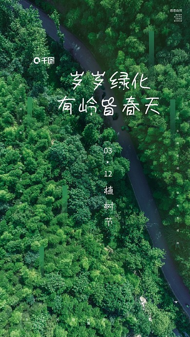 简约大气312植树节公益宣传海报