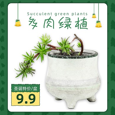 圣诞节鲜花绿植多肉主图直通车