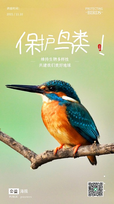 简约风保护鸟类公益讲座手机海报