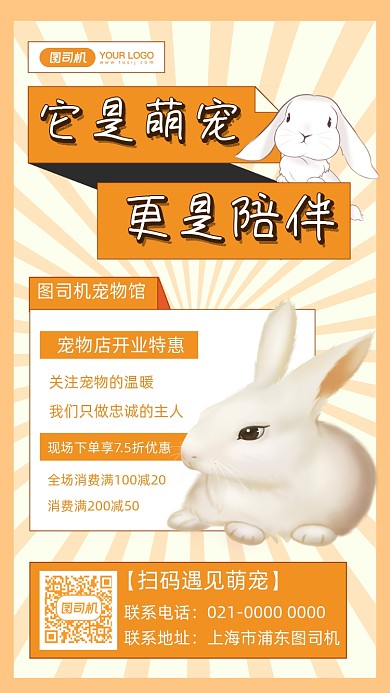 宠物兔子宠物宣传插画手机海报