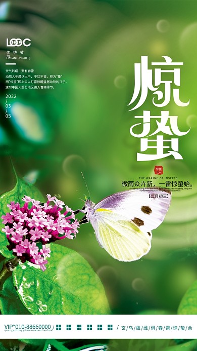 简约创意惊蛰节气摄影图海报