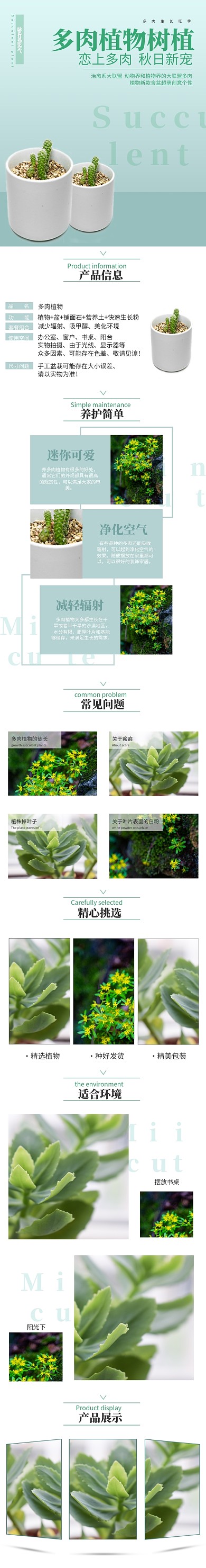 绿色简约大气盆栽多肉植物详情页