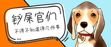 养宠物攻略卡通萌宠公众号首图