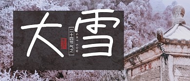 冷色风景节气大雪雾松雪松公众号首图