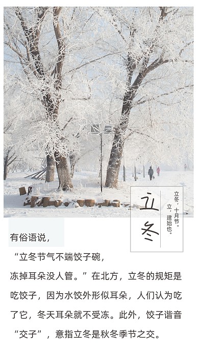 简约立冬到来文章配图