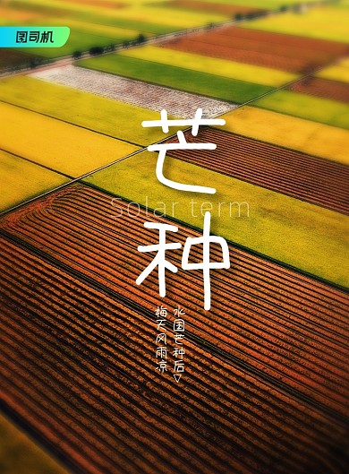 简约二十四节气芒种创意海报