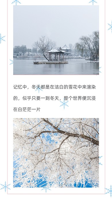 简约冬天雪花文章配图