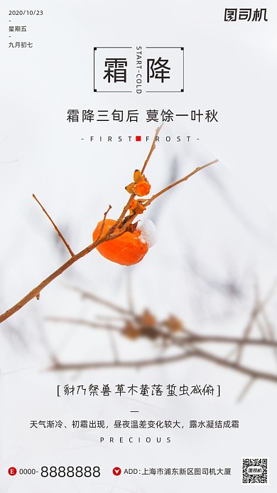 霜降节气摄影图清新柿子简约手机海报