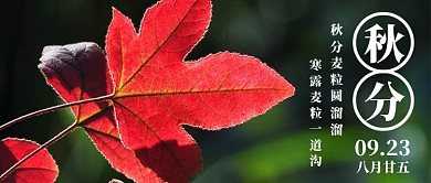 文艺清新秋分节气公众号首图