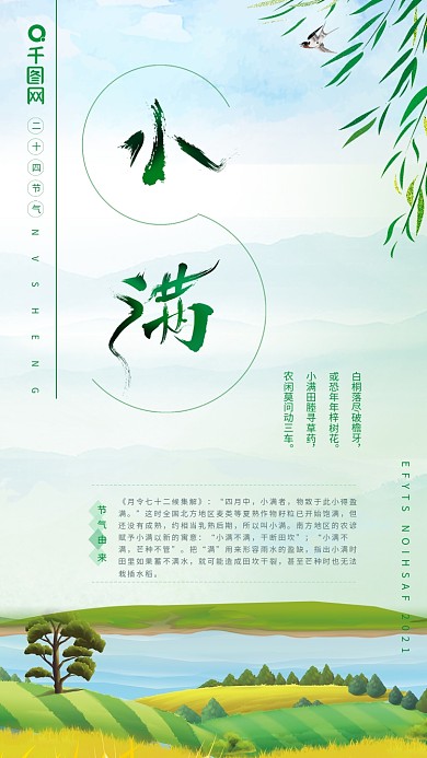 二十四节气海报小满节气小满海报字体设计