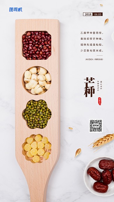 芒种节气简约创意宣传海报