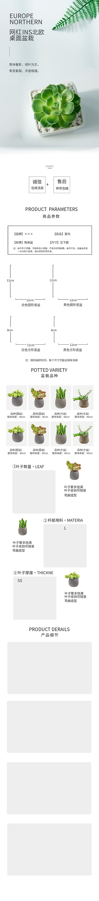 家居日常盆栽白色简约电商详情页