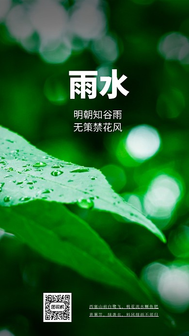 雨水节气手机海报
