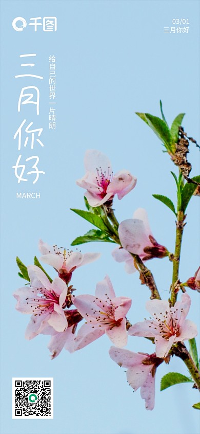 三月你好日签月签桃花手机海报