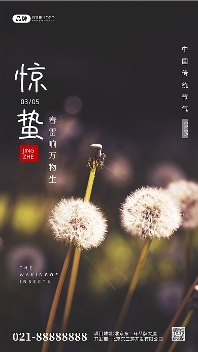 彩色简约惊蛰节气宣传摄影图手机海报