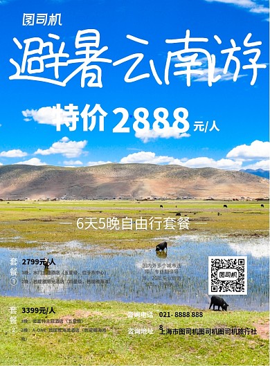 避暑云南游宣传海报
