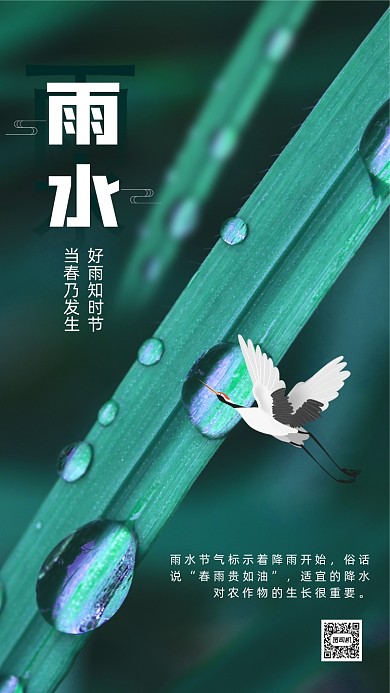 雨水节气清新简约摄影节气手机海报