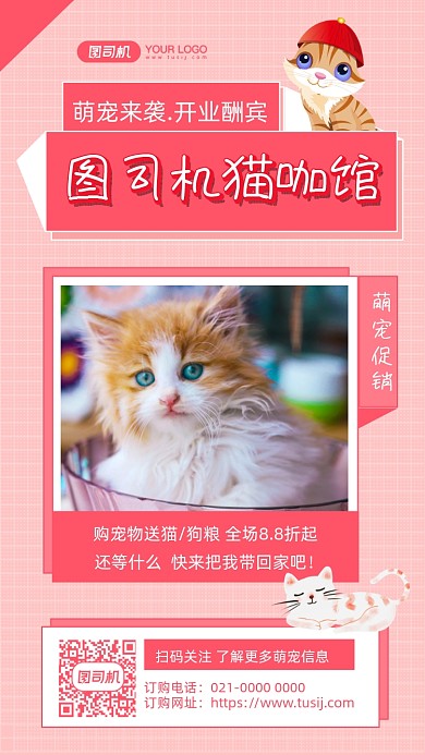 猫咖馆宠物宣传摄影图手机海报