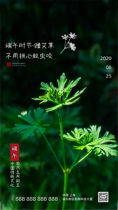 端午艾草摄影清新海报