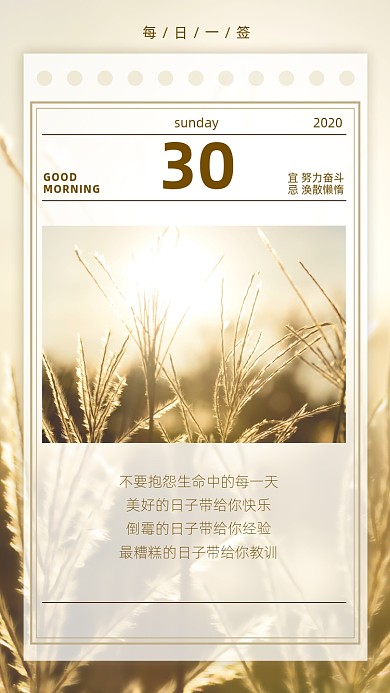 芦苇摄影早安日签清新简约手机海报