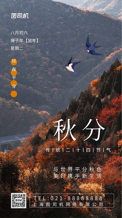秋分节气简约手机海报