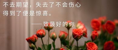 励志鸡汤文字文艺摄影图公众号首图